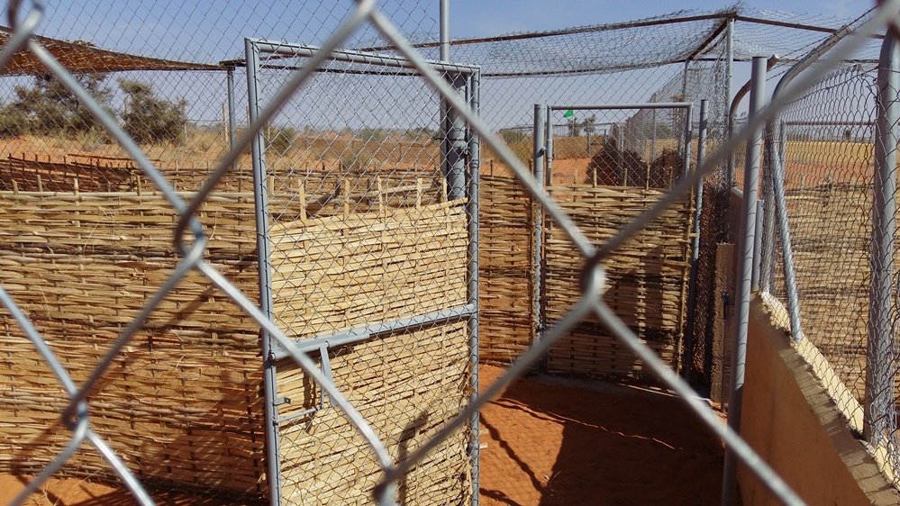 Enclosures with perimeter fencing 