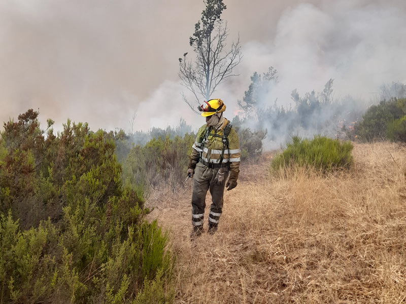 Humo generado en incendios forestales