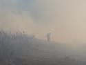 Repercusiones sobre la salud del humo de los incendios forestales