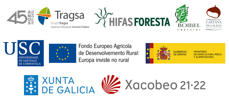 Participantes en el proyecto I+D+i