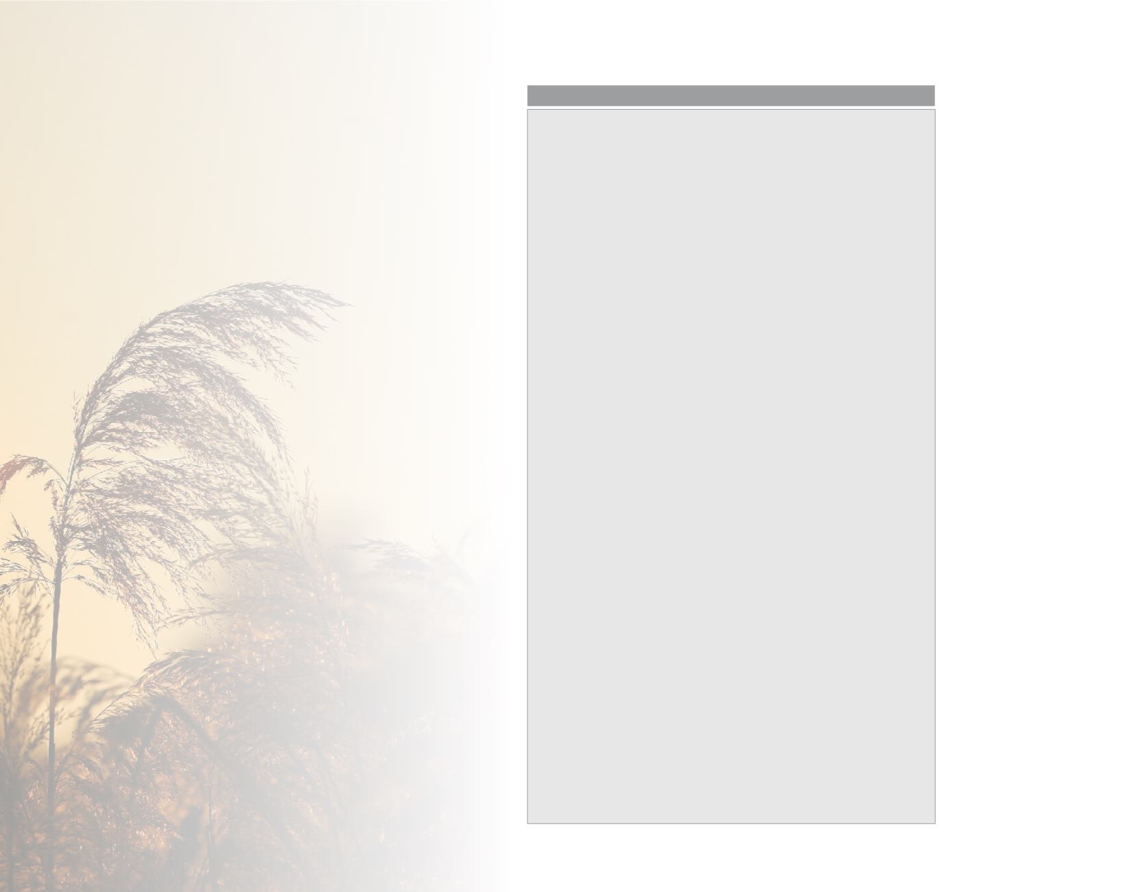 Page Background