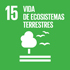 Icono del objetivo de desarrollo sostenible 15 - Vida de ecosistemas terrestres