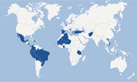 Activity International