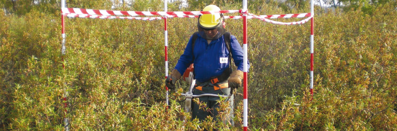 Trabajador del Grupo en trabajos de aprovechamiento de biomasa forestal