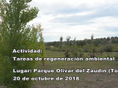 Voluntarios Sevilla