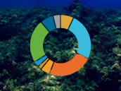 ​Vídeo Corporativo Grupo Tragsa 2026​