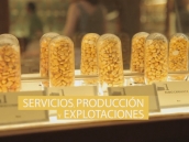 Vídeo Corporativo Servicios y Explotaciones Agropecuarias