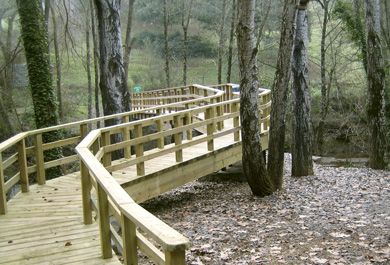 Paso elevado del camino natural del parque.