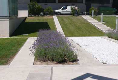 Plantaciones para la gestión del agua en zonas urbanas.