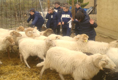 Escolares aprenden los nombres de las especies ganaderas autóctonas. 