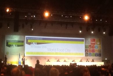 Ban Ki-moon durante su intervención en el Día Mundial de la Alimentación