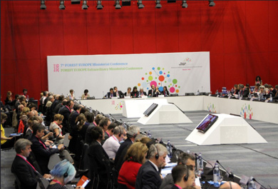 Jornada de conferencias sobre cooperación ministerial para la protección de los bosques.