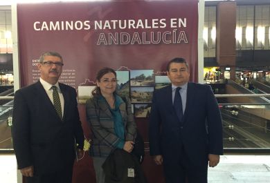 Begoña Nieto durante la presentación del Programa de Caminos Naturales