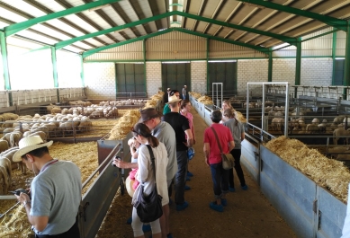 Grupo de participantes durante una visita de campo