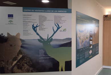 Recursos interpretativos del centro para la exposición de los contenidos del parque. 