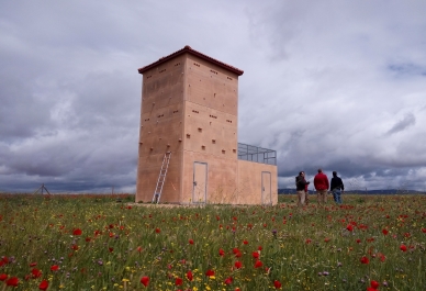 Primillar construido para albergar los pollos de cernícalo