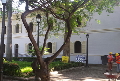 Parque del edificio público transformado en hotel.