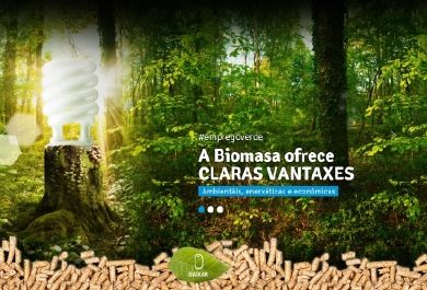 El proyecto busca revalorizar el monte gallego