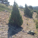 Un obús de la Guerra Civil hallado en un municipio de Teruel