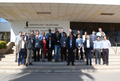 Segunda reunión internacional en Valencia en la lucha contra los mosquitos