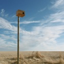 ​Control del topillo mediante el fomento de poblaciones de aves rapaces