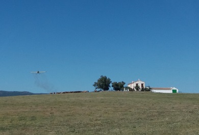 Tratamiento aéreo de prevención de plaga de langostas en el Valle de Alcudia