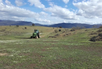 Tratamientos preventivos contra la plaga de langostas en el Valle de Alcudia