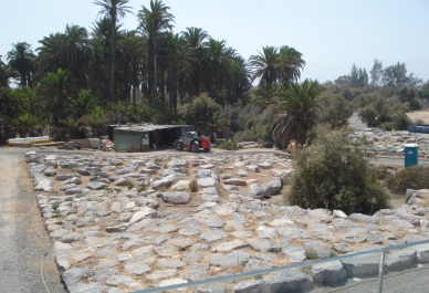 Obras en el Parque Tony Gallardo