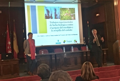 Ponencia plagas