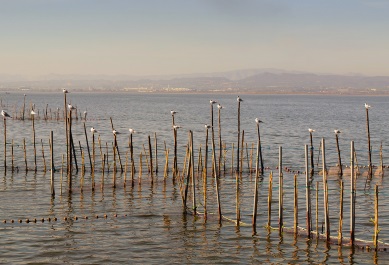 Albufera de Valencia