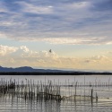 ¿Cómo contribuir en la conservación de humedales protegidos?