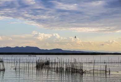 Paisaje de humedales