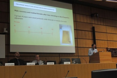 Conferencia en Viena