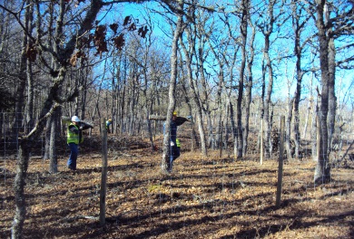 trabajadores de Tragsa en un bosque