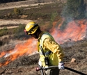 Día Internacional del Combatiente de Incendios Forestales