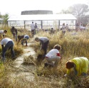 Una treintena de trabajadores del Grupo Tragsa participan en el Día Solidario de las Empresas