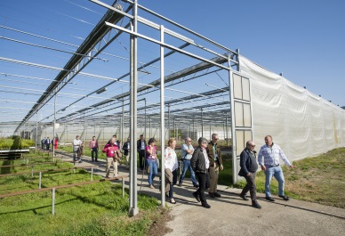 Vivero de Maceda