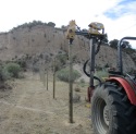 El entorno de El Pardo recuperará su belleza