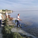 El Mar Menor recupera parte de su valor medioambiental