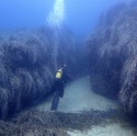 Un paraíso del buceo bajo protección