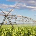 Los efectos del cambio climático en el regadío
