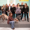 La responsabilidad y el compromiso de convivir con mascotas