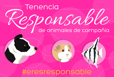 Cartel Jornada Tenencia Responsable