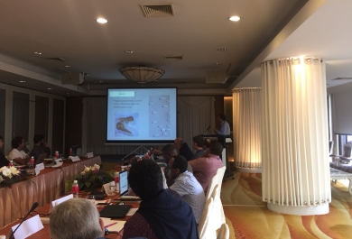 Foro internacional contra mosquitos transmisores de enfermedades