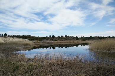 laguna segovia