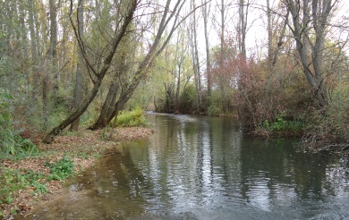 río ucero