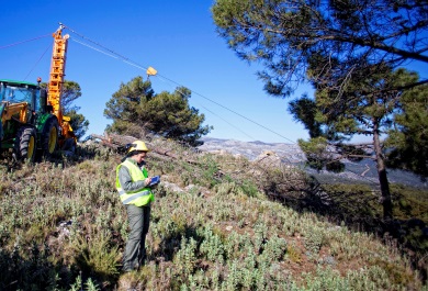 Día Internacional de los Bosques
