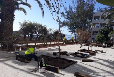 Obras en el jardín de la residencia Taliarte 