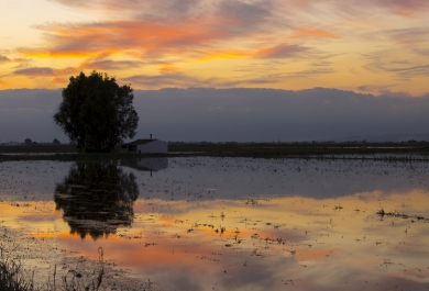 Atardecer en el Delta del Ebro