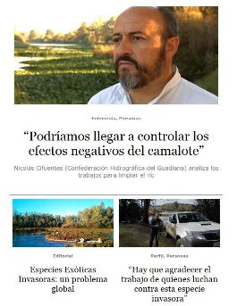 Imagen contenidos transofmra